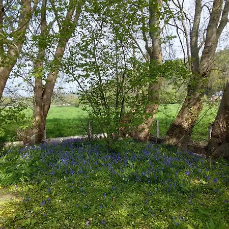 L'essentiel Oherville