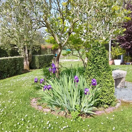 Bed & Breakfast L'essentiel Oherville