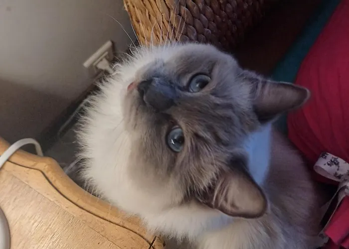 L'essentiel Oherville