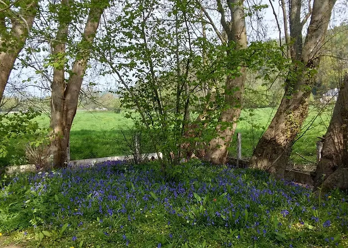 L'essentiel Oherville