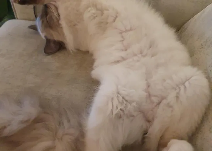 L'essentiel Panzió Oherville